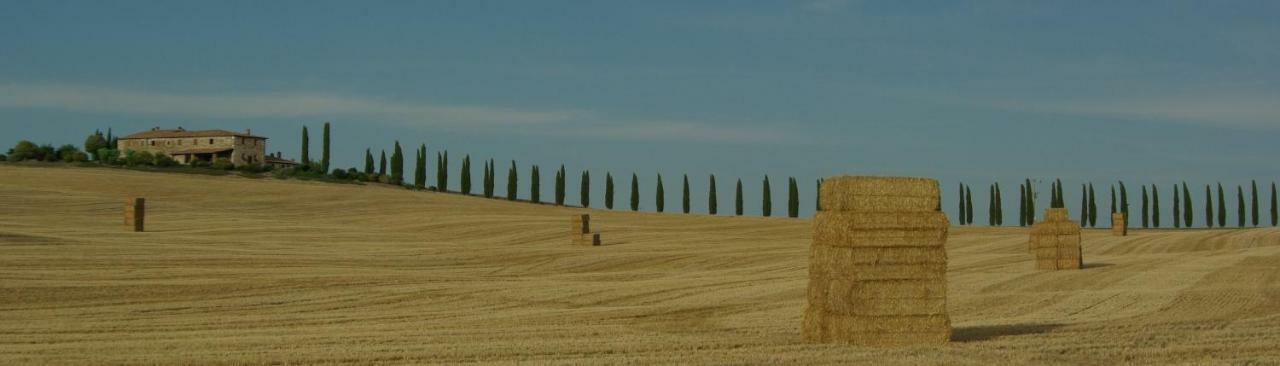 La Casa del susino Villa Castiglione dʼOrcia Exterior foto